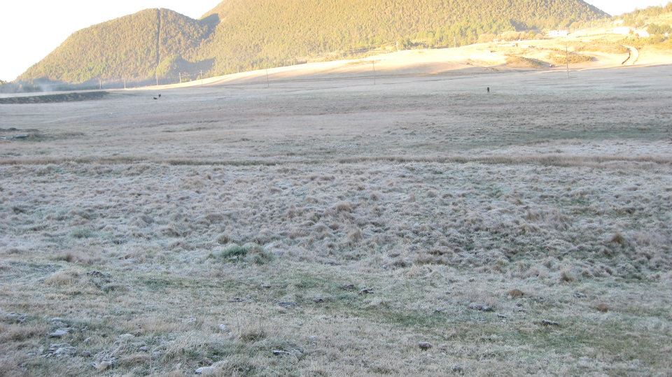 Dia que nevo en San Jose Rancho cabras fue un 1 de enero de 2009