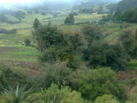 /album/fotogaleria/a263928-331269003644979-1637108252-n-jpg/