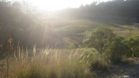 /album/fotogaleria/a424494-190631167708764-1766776114-n-jpg/