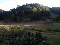 /album/lugares-turisticos/a32181-331266773645202-1606499680-n-jpg2/