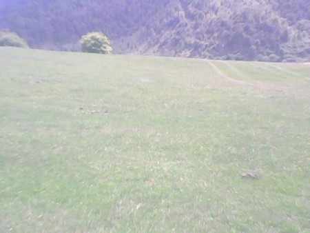 Llano de San José Rancho cabras (Rumbo a la lagunilla)