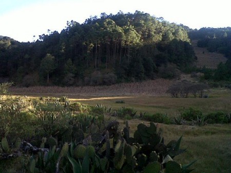 Lugares para acampar de san José Rancho Cabras 