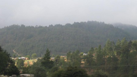 Clima